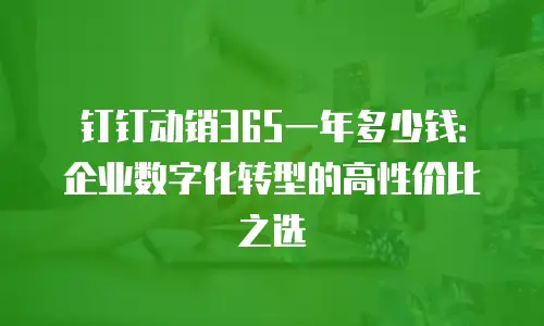 钉钉动销365一年多少钱：企业数字化转型的高性价比之选