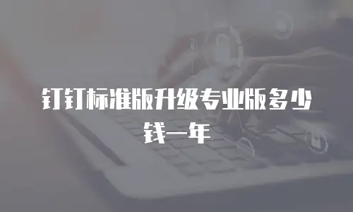 钉钉标准版升级专业版多少钱一年