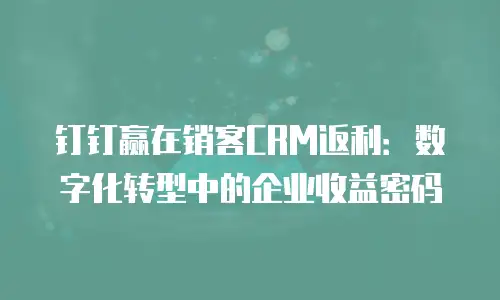 钉钉赢在销客CRM返利：数字化转型中的企业收益密码