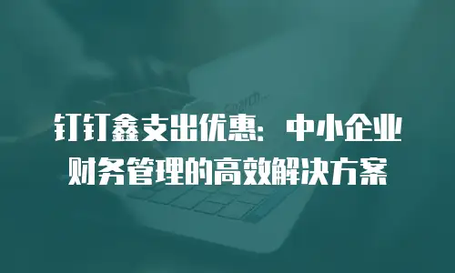 钉钉鑫支出优惠：中小企业财务管理的高效解决方案