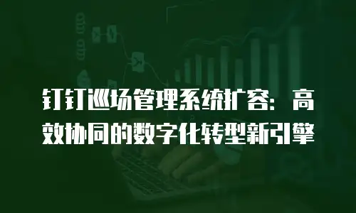 钉钉巡场管理系统扩容：高效协同的数字化转型新引擎