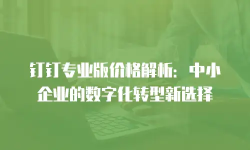 钉钉专业版价格解析：中小企业的数字化转型新选择