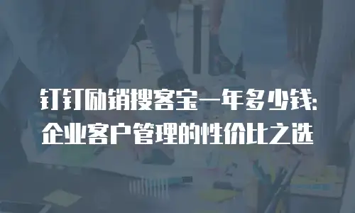 钉钉励销搜客宝一年多少钱：企业客户管理的性价比之选