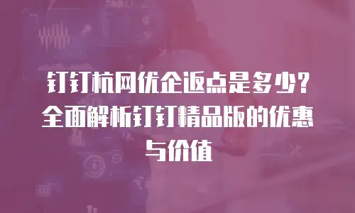 钉钉杭网优企返点是多少？全面解析钉钉精品版的优惠与价值