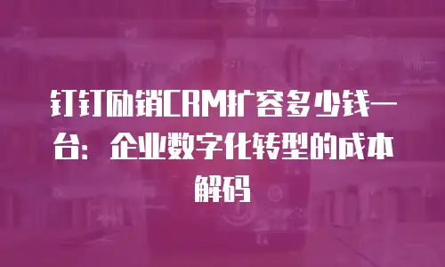 钉钉励销CRM扩容多少钱一台：企业数字化转型的成本解码