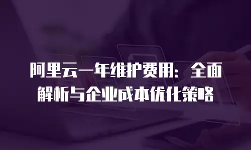 阿里云一年维护费用：全面解析与企业成本优化策略