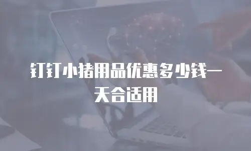 钉钉小猪用品优惠多少钱一天合适用