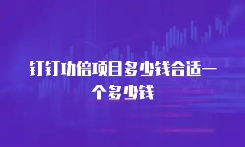 钉钉功倍项目多少钱合适一个多少钱