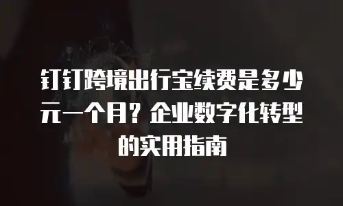 钉钉跨境出行宝续费是多少元一个月？企业数字化转型的实用指南