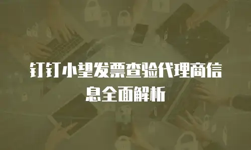 钉钉小望发票查验代理商信息全面解析
