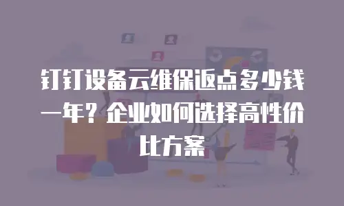钉钉设备云维保返点多少钱一年？企业如何选择高性价比方案