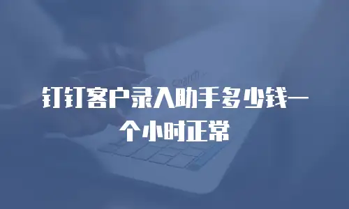 钉钉客户录入助手多少钱一个小时正常