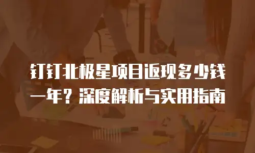 钉钉北极星项目返现多少钱一年？深度解析与实用指南