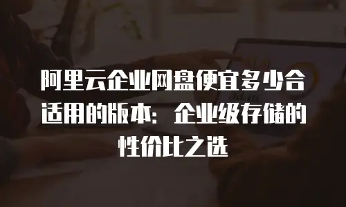 阿里云企业网盘便宜多少合适用的版本：企业级存储的性价比之选