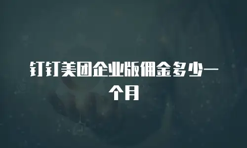 钉钉美团企业版佣金多少一个月