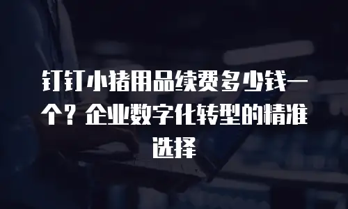 钉钉小猪用品续费多少钱一个？企业数字化转型的精准选择