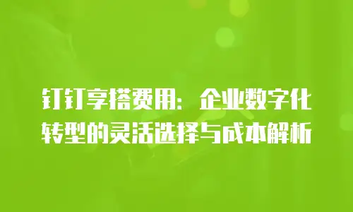 钉钉享搭费用：企业数字化转型的灵活选择与成本解析
