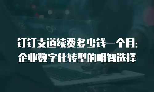 钉钉支道续费多少钱一个月：企业数字化转型的明智选择
