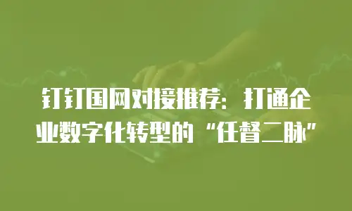 钉钉国网对接推荐：打通企业数字化转型的“任督二脉”