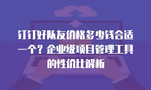 钉钉好队友价格多少钱合适一个？企业级项目管理工具的性价比解析