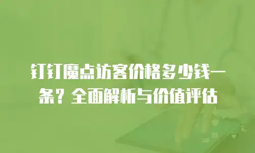 钉钉魔点访客价格多少钱一条？全面解析与价值评估