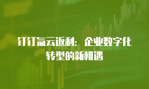 钉钉氚云返利：企业数字化转型的新机遇