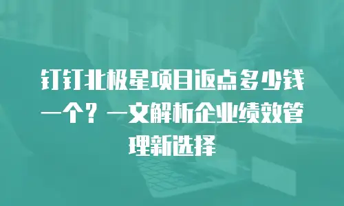 钉钉北极星项目返点多少钱一个？一文解析企业绩效管理新选择