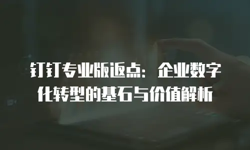 钉钉专业版返点：企业数字化转型的基石与价值解析