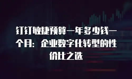 钉钉敏捷预算一年多少钱一个月：企业数字化转型的性价比之选