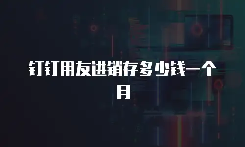 钉钉用友进销存多少钱一个月