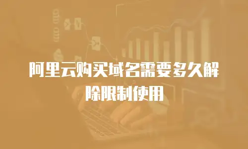 阿里云购买域名需要多久解除限制使用