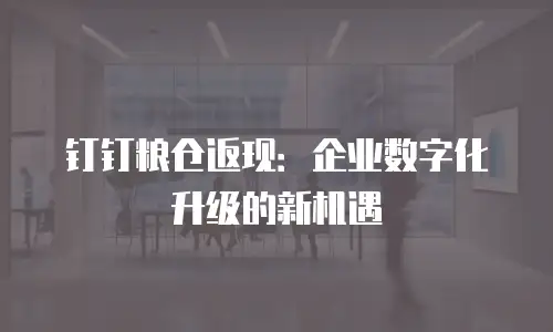 钉钉粮仓返现：企业数字化升级的新机遇