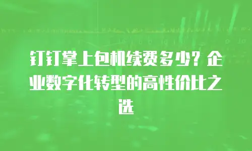 钉钉掌上包机续费多少？企业数字化转型的高性价比之选