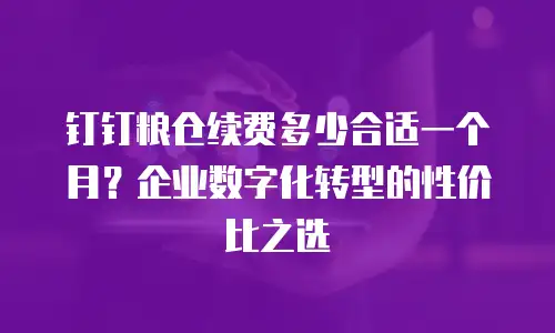 钉钉粮仓续费多少合适一个月？企业数字化转型的性价比之选