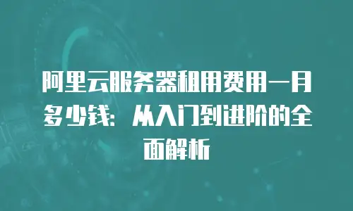 阿里云服务器租用费用一月多少钱：从入门到进阶的全面解析