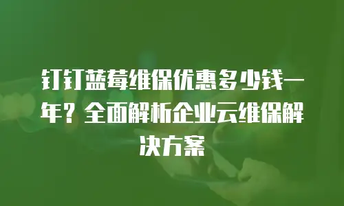 钉钉蓝莓维保优惠多少钱一年？全面解析企业云维保解决方案