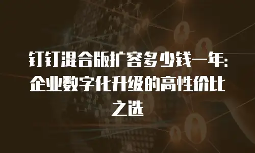 钉钉混合版扩容多少钱一年：企业数字化升级的高性价比之选