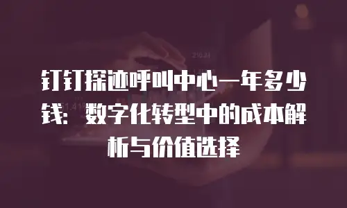 钉钉探迹呼叫中心一年多少钱：数字化转型中的成本解析与价值选择
