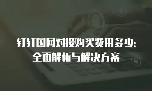 钉钉国网对接购买费用多少：全面解析与解决方案