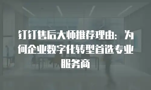 钉钉售后大师推荐理由：为何企业数字化转型首选专业服务商