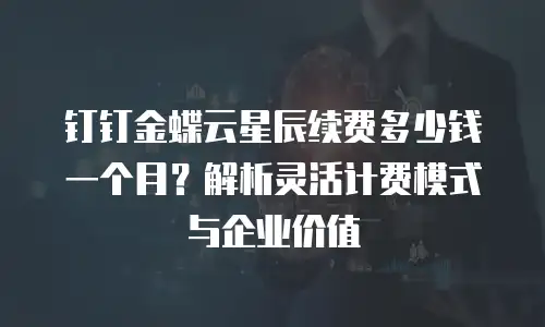 钉钉金蝶云星辰续费多少钱一个月？解析灵活计费模式与企业价值