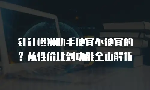 钉钉橙狮助手便宜不便宜的？从性价比到功能全面解析