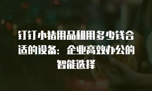 钉钉小猪用品租用多少钱合适的设备：企业高效办公的智能选择