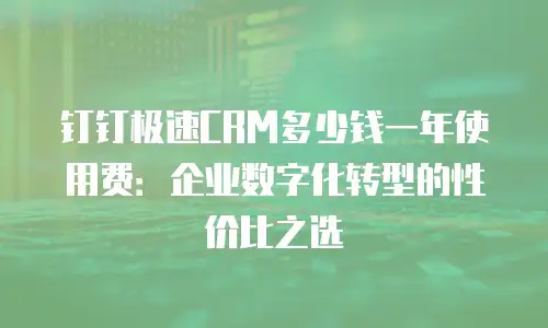 钉钉极速CRM多少钱一年使用费：企业数字化转型的性价比之选