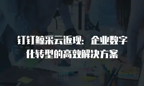 钉钉鲸采云返现：企业数字化转型的高效解决方案