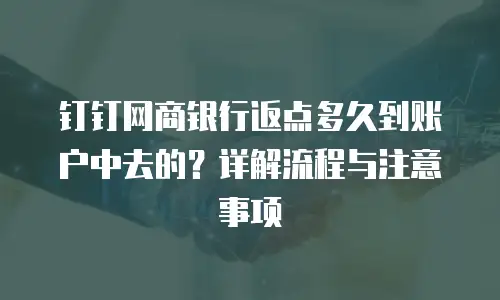 钉钉网商银行返点多久到账户中去的？详解流程与注意事项