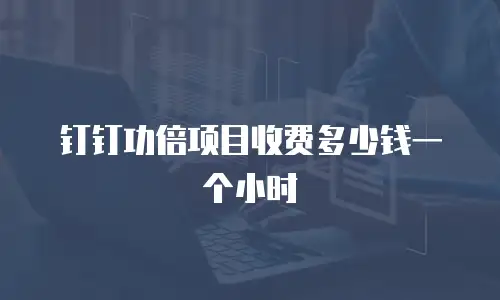 钉钉功倍项目收费多少钱一个小时