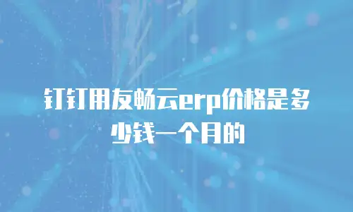 钉钉用友畅云erp价格是多少钱一个月的