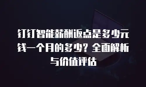 钉钉智能薪酬返点是多少元钱一个月的多少？全面解析与价值评估