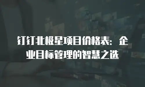 钉钉北极星项目价格表：企业目标管理的智慧之选
